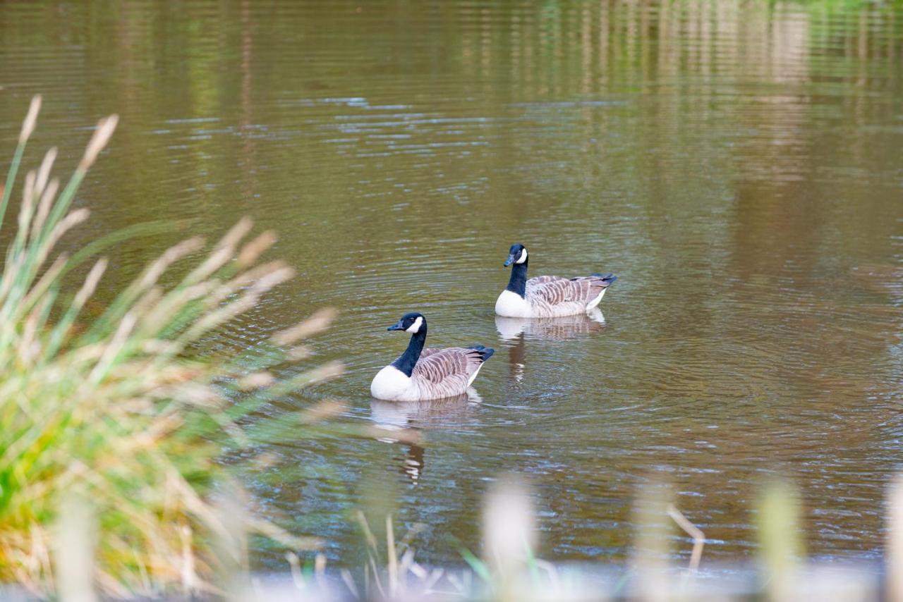 Beautiful Willow Lodge 67-4-6 Persons-Private Hot Tub-Pet Friendly-Tranquil Holiday Away From It All Yet Not Far To St Austell-The Holiday Home Has Two Bedrooms, Living & Dining Area, Equipped Kitchen -Decking-Al Fresco Dining-Fishing Lakes-Pet Frien Grampound Exterior foto